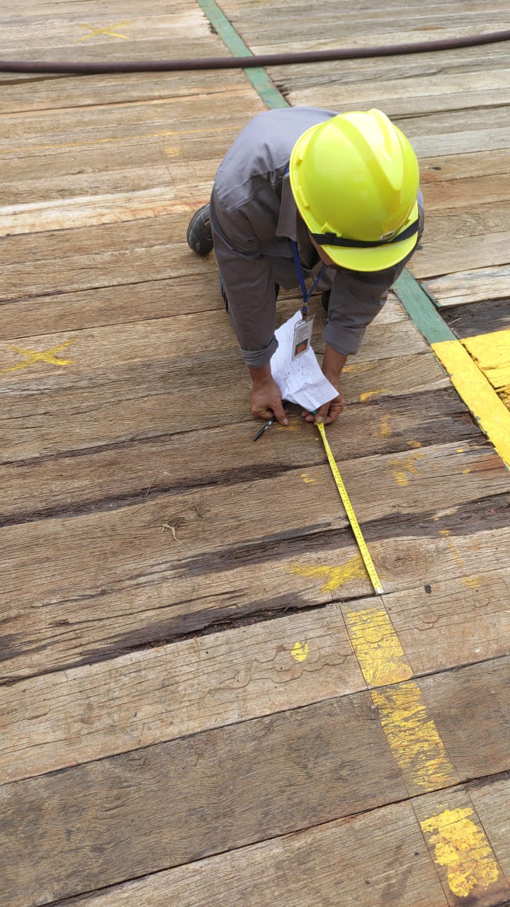 Survey job wood main deck Photo